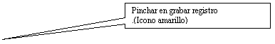 Llamada rectangular: Pinchar en grabar registro
.(Icono amarillo)
